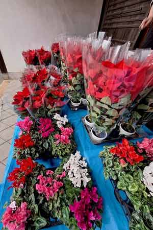 クラブチャリティ